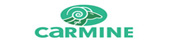 dépannage serrurerie carmine serrure carmine